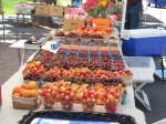 Ketchum Farmers Mrket&nbsp;005
